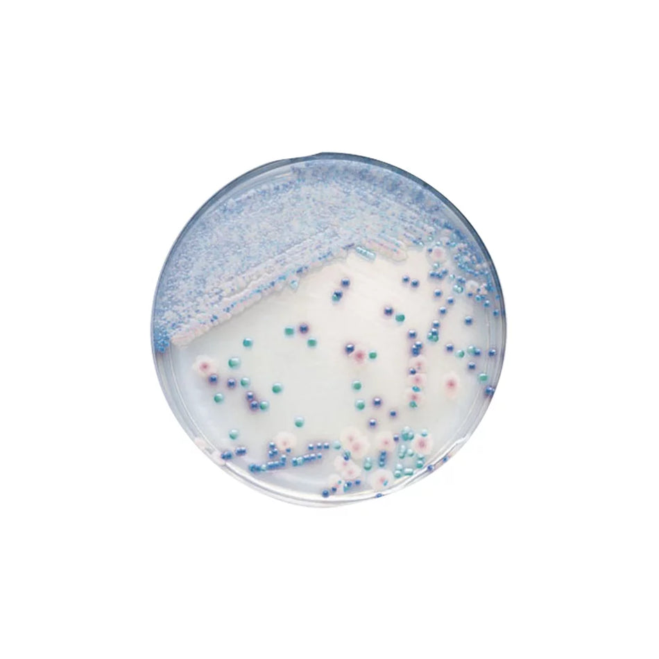BD CHROMagar™ Candida Medium